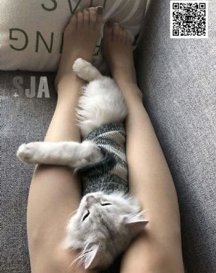 国产精品无套内射视频_BD韩语免费电视剧